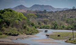 Featured image of post Majete国家公园游记