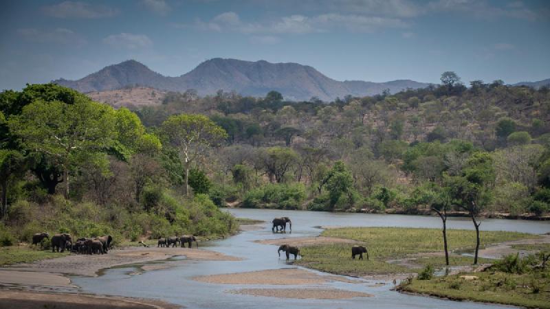 Featured image of post Majete国家公园游记